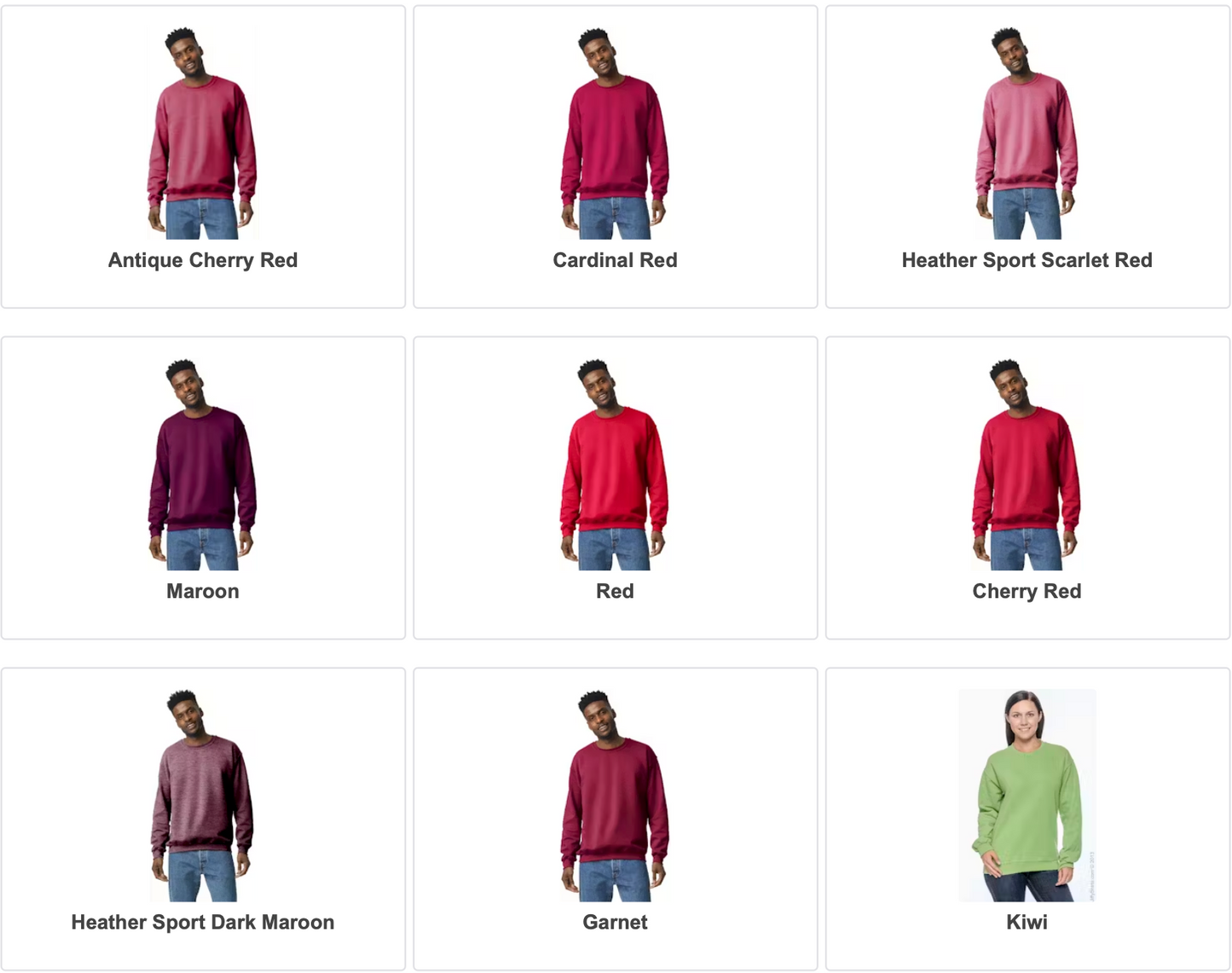 Collar Embroidered Sweatshirt - Adult