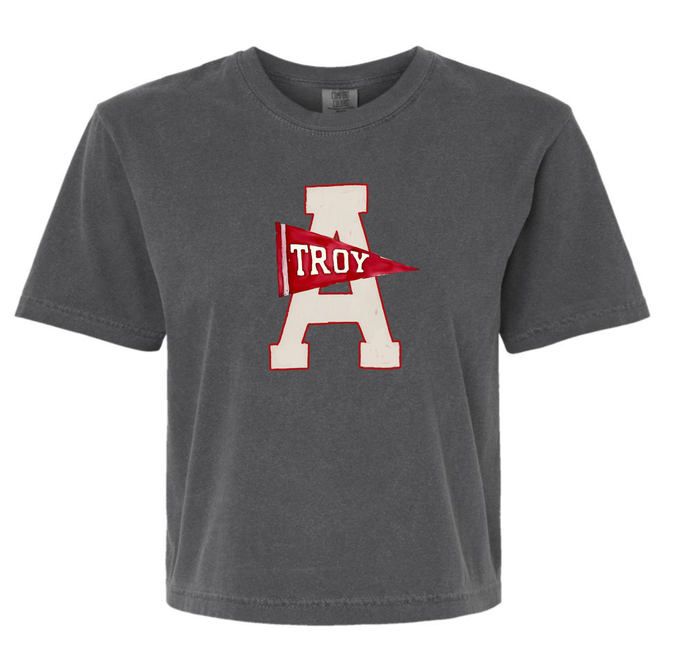 Troy A Pennant - Comfort Colors Boxy Crop Tee