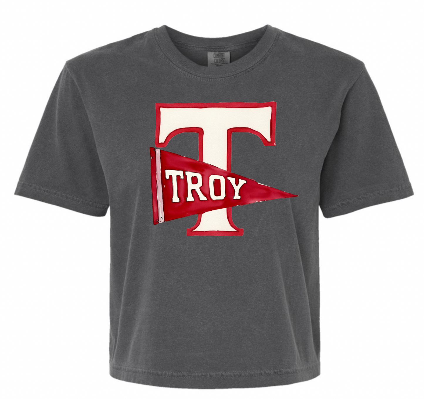 Troy T Pennant - Comfort Colors Boxy Crop Tee