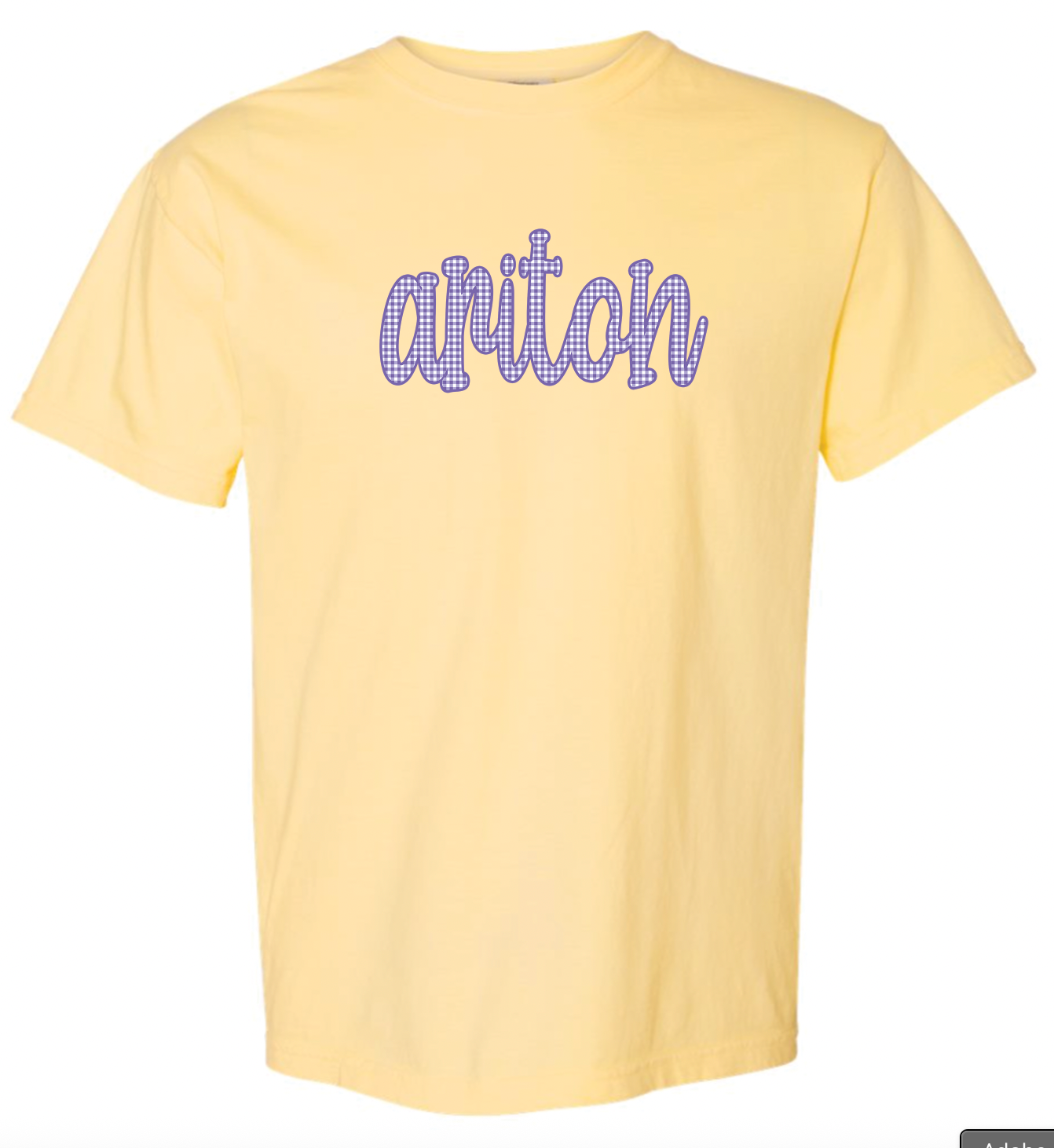 School Gingham Design - Youth & Adult - Comfort Color