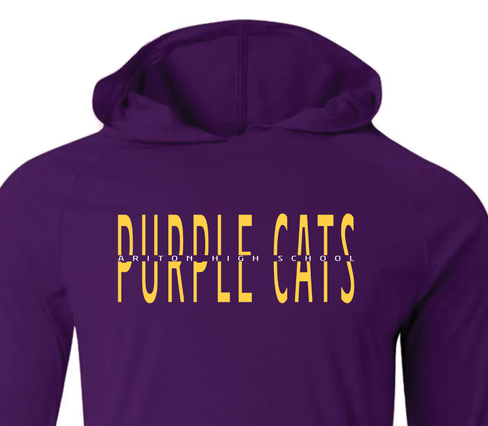 Mascot School Split Long Sleeve Performance Hoodie A4 Youth & Adult