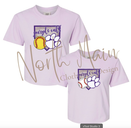 Home Plate Baseball/Softball Team Shirt (Adult)