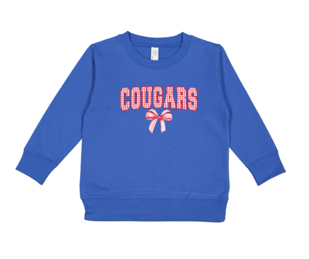 Gingham Coquette Mascot Sweatshirts - Toddler 🎀