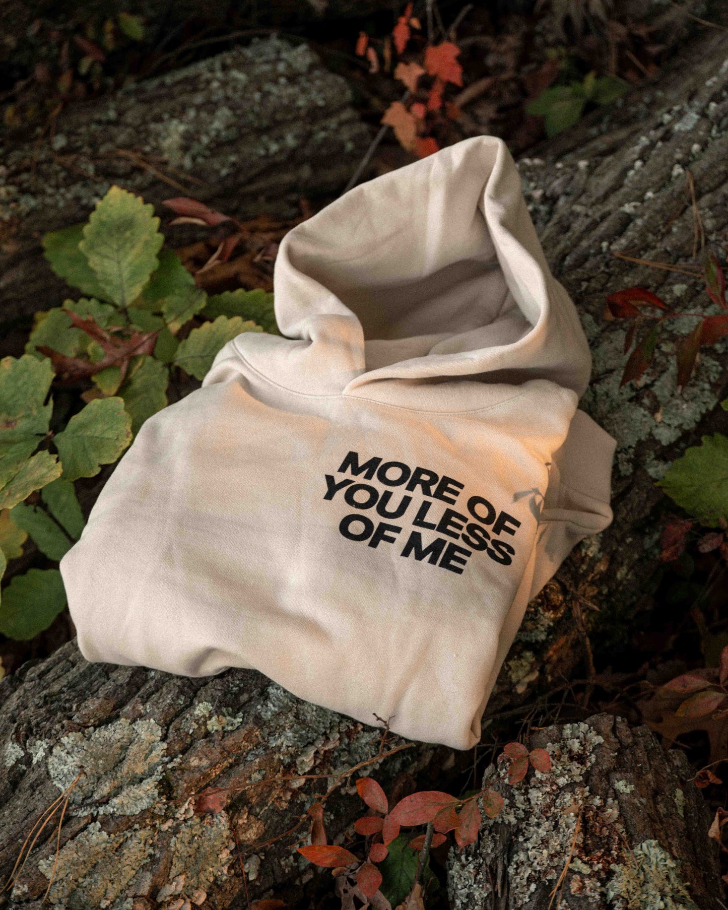 More of You Premium Heavy Hoodie