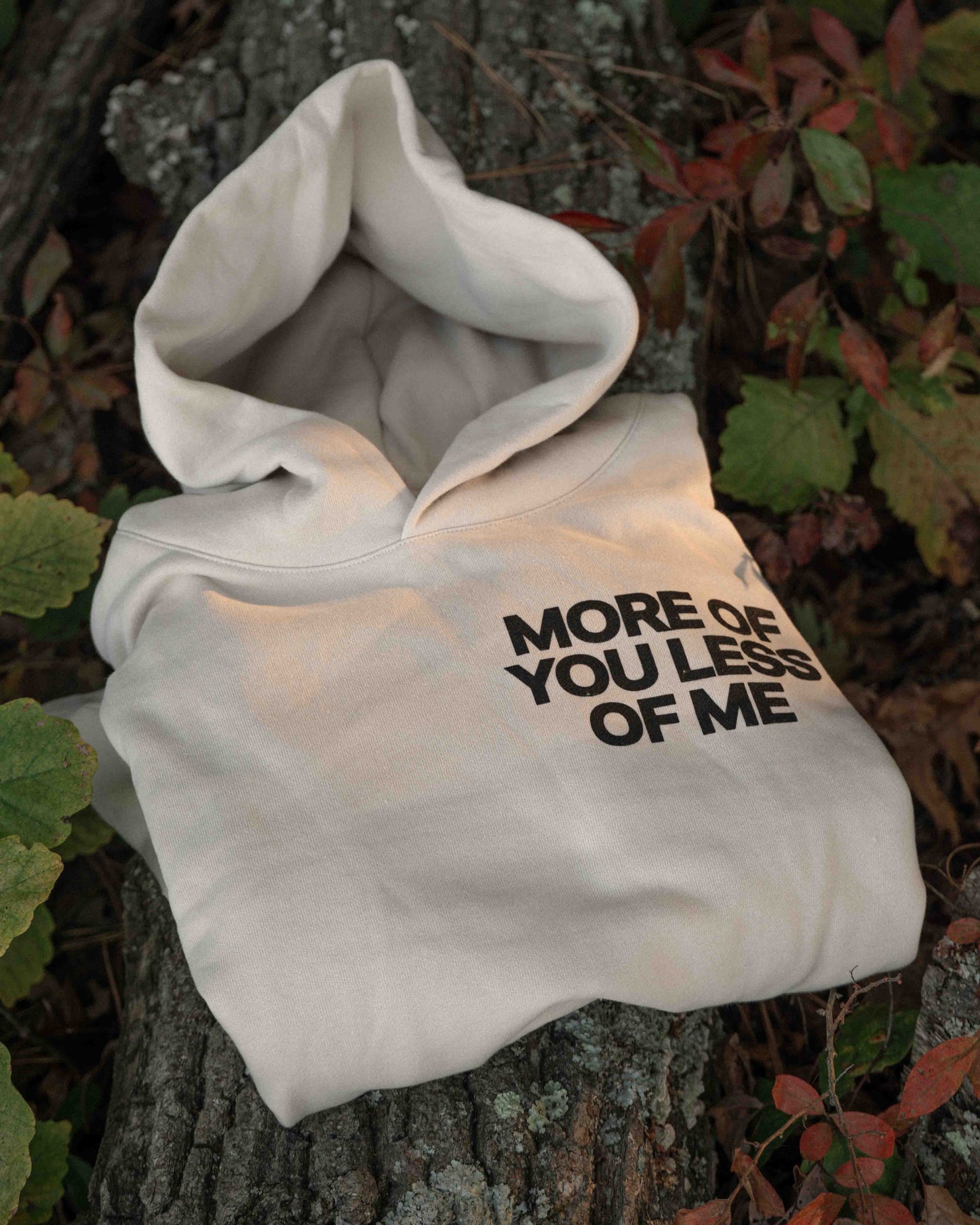 More of You Premium Heavy Hoodie